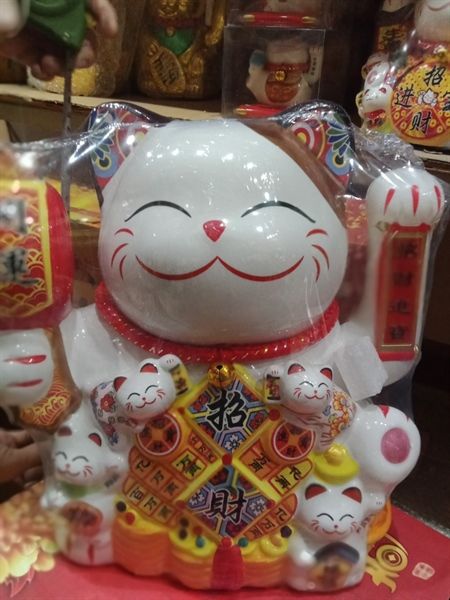 Mèo vẫy