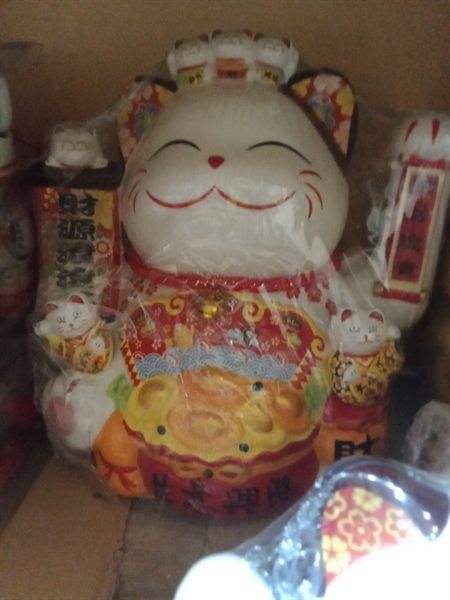 Mèo vẫy