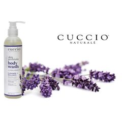 Sữa Tắm Tinh Chất Lavender Cuccio