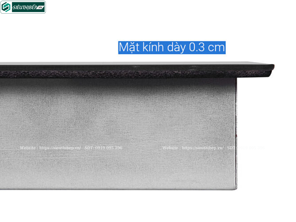 Bếp kết hợp Pramie PRTH - 2101 (Từ kết hợp điện -  Made in Thailand)