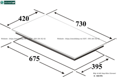 Bếp kết hợp Giovani G - 1021 ETS (Từ kết hợp điện 2 vùng nấu)