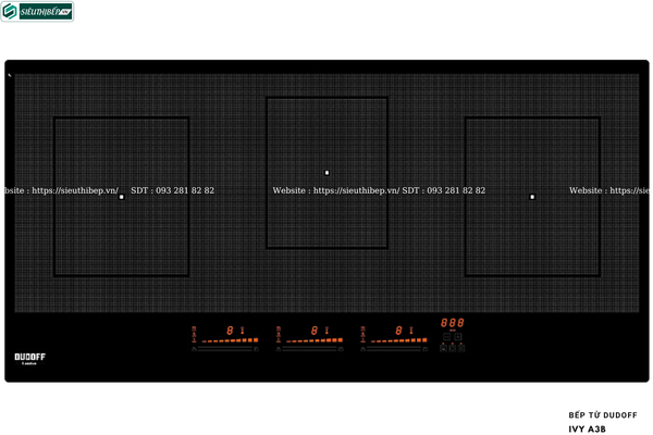 Bếp từ Dudoff IVY A3B (3 vùng nấu - Made in France)
