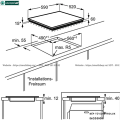 Bếp từ Electrolux E6203IOK (3 vùng nấu)
