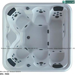 Bồn tắm massage spa Jacuzzi Govern SPA-9005