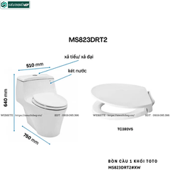 Bồn cầu 1 khối TOTO MS823DRT2#XW (Nắp Đóng Êm TC393VS)