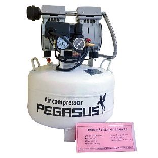 Máy Nén Khí Không Dầu PEGASUS TM-OF750-40L