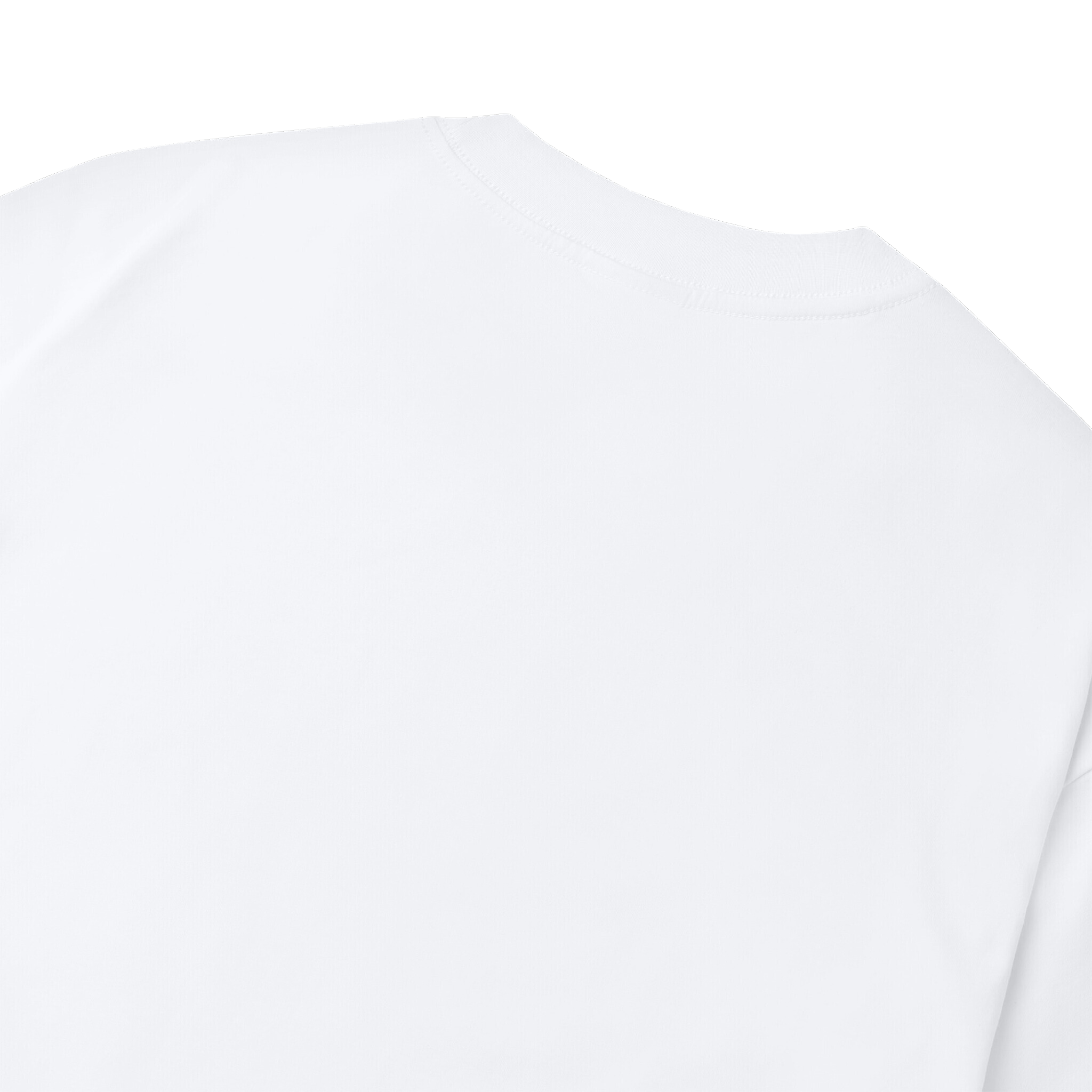 ROGUE BLAZE T-SHIRT / WHITE
