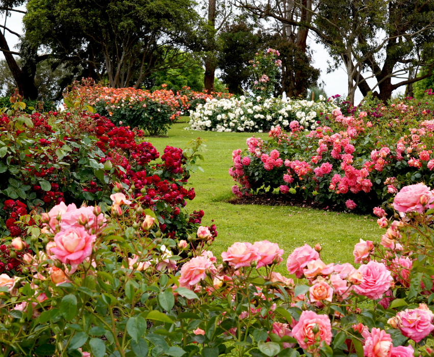KEUKENHOF - PHÁP – THUỴ SỸ – ĐỨC – HÀ LAN – BỈ 10N9Đ