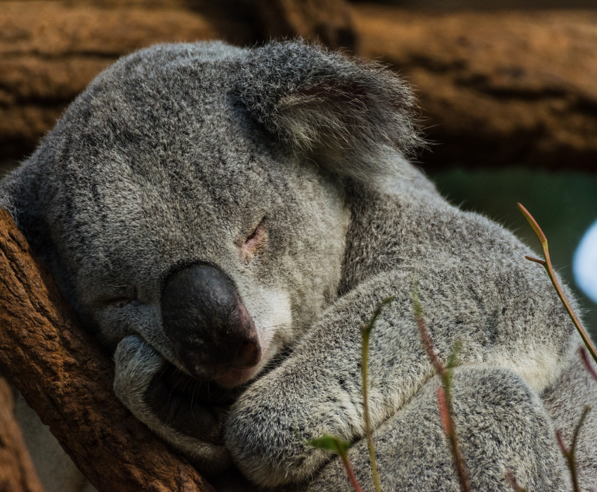 SYDNEY – MELBOURNE 7N6Đ - VNA