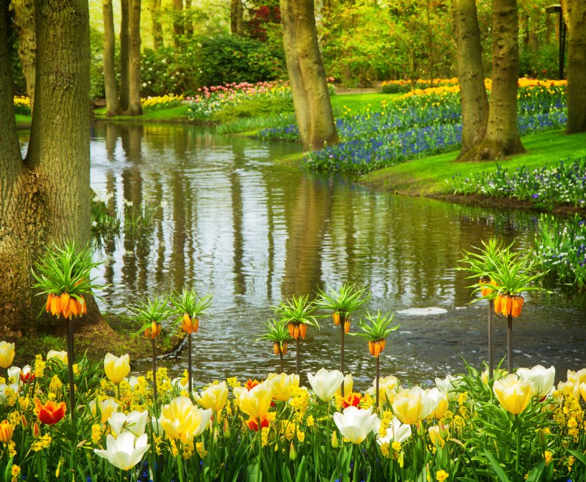 KEUKENHOF - PHÁP – THUỴ SỸ – ĐỨC – HÀ LAN – BỈ 10N9Đ
