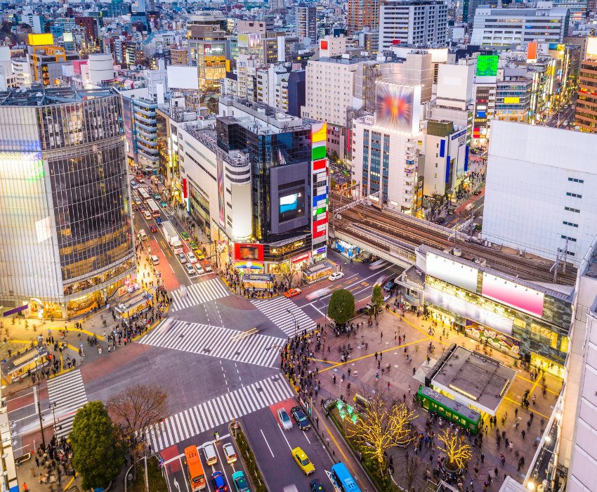 NARITA – TOKYO – YAMANASHI – FUJI – YOKOHAMA 5N4Đ VNA