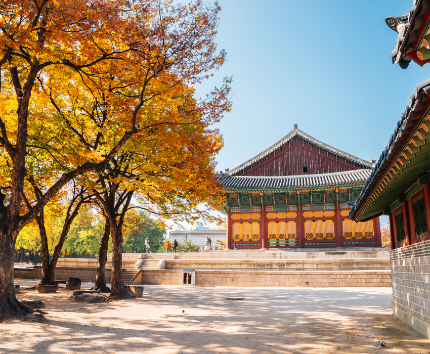 SEOUL – NAMI - LOTTE WORLD - JEJU 5N5Đ - BAY T'WAY