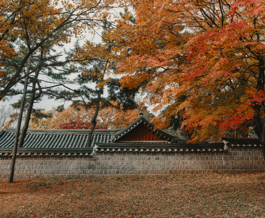 SEOUL – BIRD PARK - NAMI - LOTTE WORLD 4N4Đ - BAY T’WAY AIR