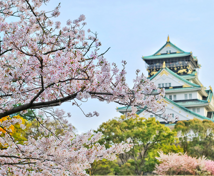 NAGOYA MONO 4N4Đ - VNA