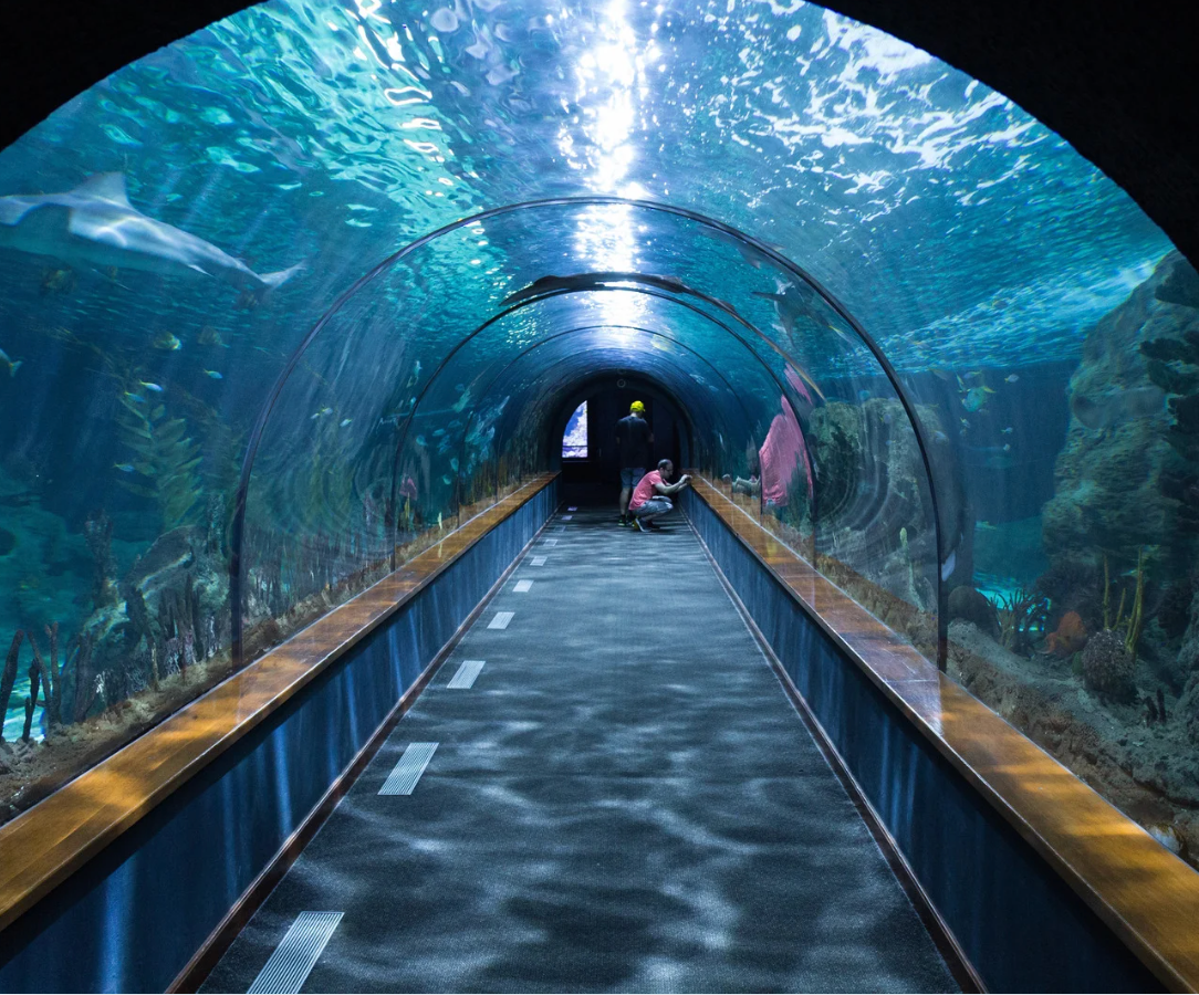 SEOUL - NAMI - AQURIUM 4N4Đ - BAY T'WAY