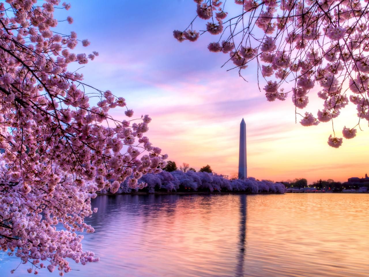 BỜ ĐÔNG HOA KỲ “New York – Philadelphia – Washington DC – Pittsburgh Niagara Falls – Albany - Boston 9N8Đ” NATIONAL CHERRY BLOSSOM FESTIVAL 2024