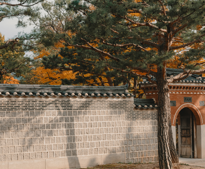 SEOUL - NAMI - AQURIUM 4N4Đ - BAY T'WAY