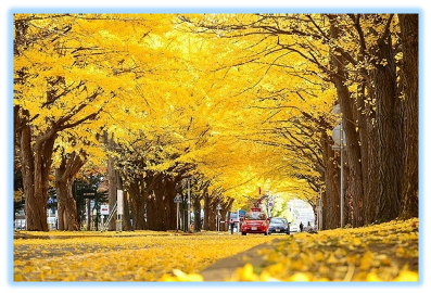 NAGOYA–HAKONE–FUJI MOUNT–TOKYO–NAGOYA 4N4Đ
