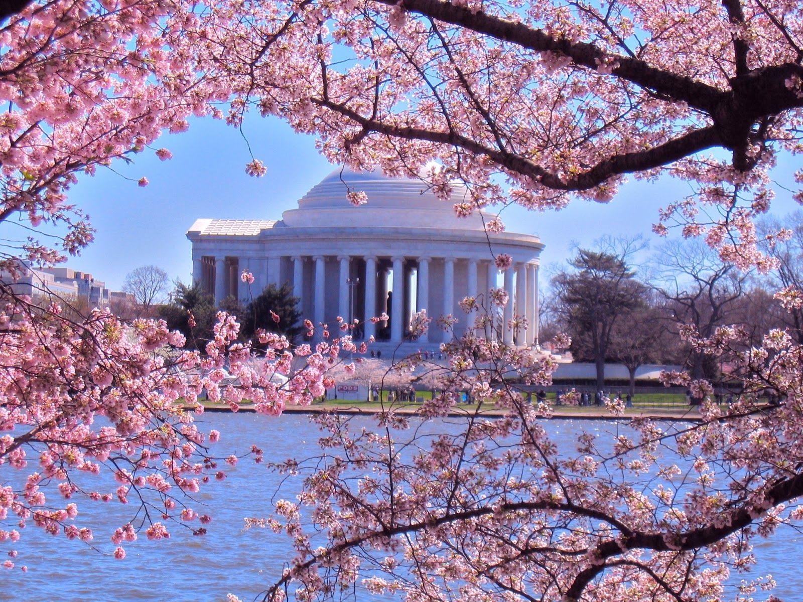 BỜ ĐÔNG HOA KỲ “New York – Philadelphia – Washington DC – Pittsburgh Niagara Falls – Albany - Boston 9N8Đ” NATIONAL CHERRY BLOSSOM FESTIVAL 2024