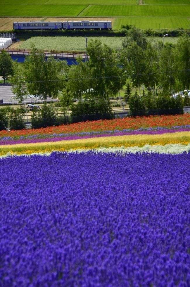 HOKKAIDO – NOBORBETSU – OTARO - SAPPORO – 5N4D