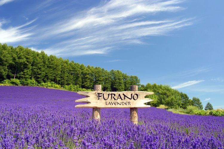 HOKKAIDO – NOBORBETSU – OTARO - SAPPORO – 5N4D