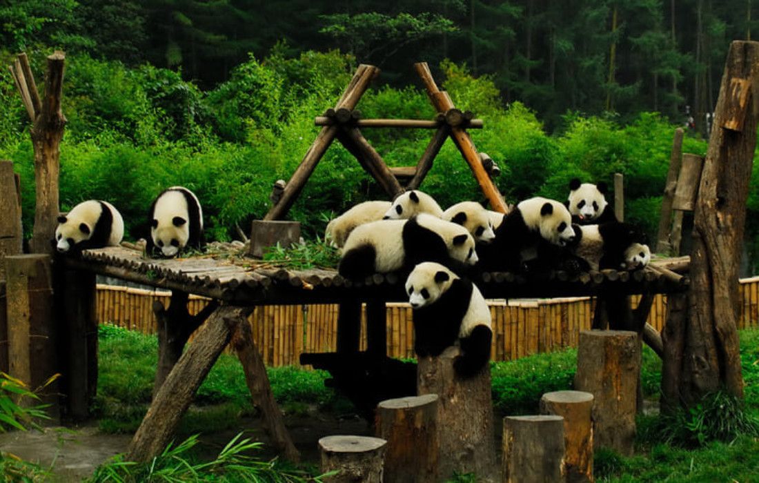 TRUNG QUỐC 7N7Đ: TRÙNG KHÁNH – ĐÔ GIANG YỂN - CỬU TRẠI CÂU – THÀNH ĐÔ