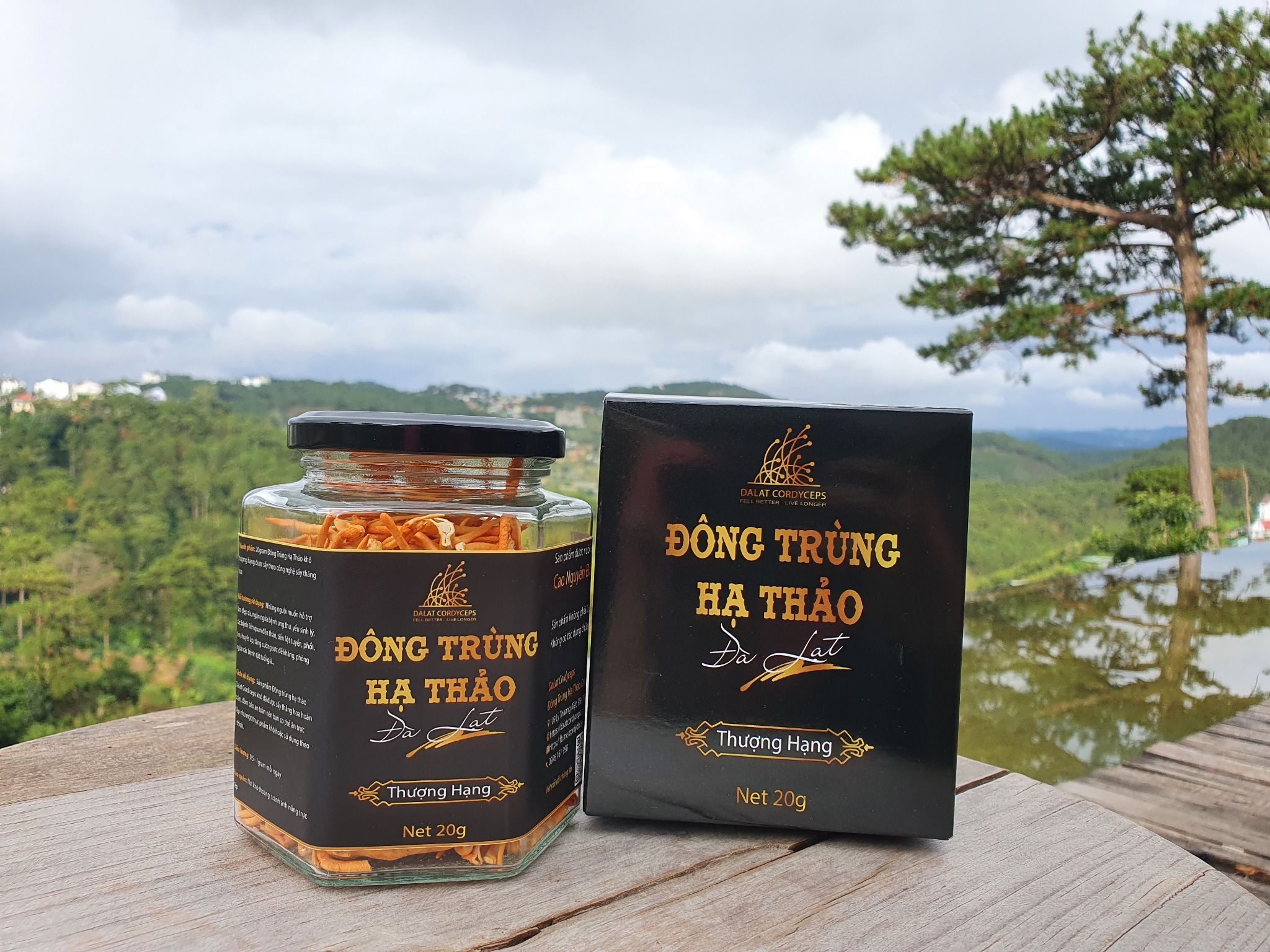 Nấm Đông Trùng Hạ Thảo Đà Lạt Khô Sấy Thăng Hoa - Loại 20gr - Được nuôi trồng Organic tại cao nguyên Đà Lạt trên 1500m