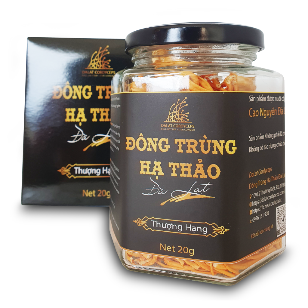 Nấm Đông Trùng Hạ Thảo Đà Lạt Khô Sấy Thăng Hoa - Loại 20gr - Được nuôi trồng Organic tại cao nguyên Đà Lạt trên 1500m