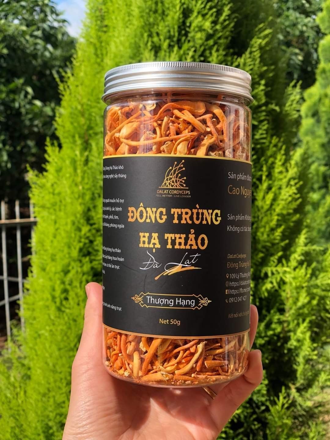 Nấm đông trùng hạ thảo khô sấy thăng hoa (Loại 50gr) - Nuôi trồng Organic tại Cao nguyên Đà Lạt