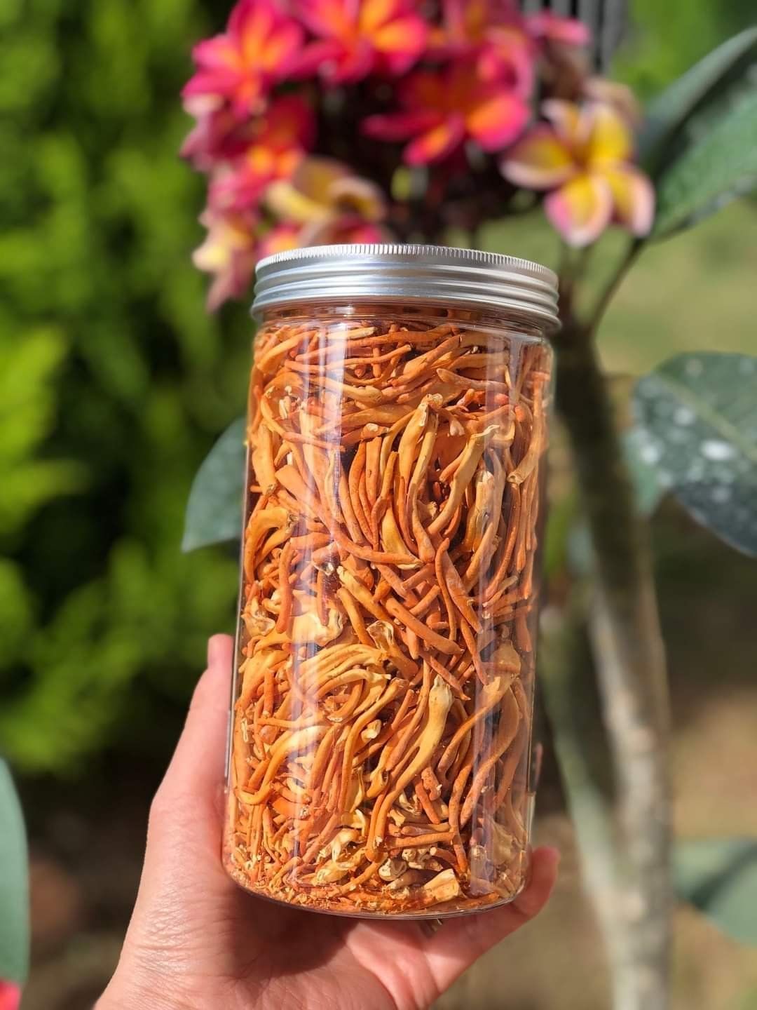 Nấm đông trùng hạ thảo khô sấy thăng hoa (Loại 50gr) - Nuôi trồng Organic tại Cao nguyên Đà Lạt