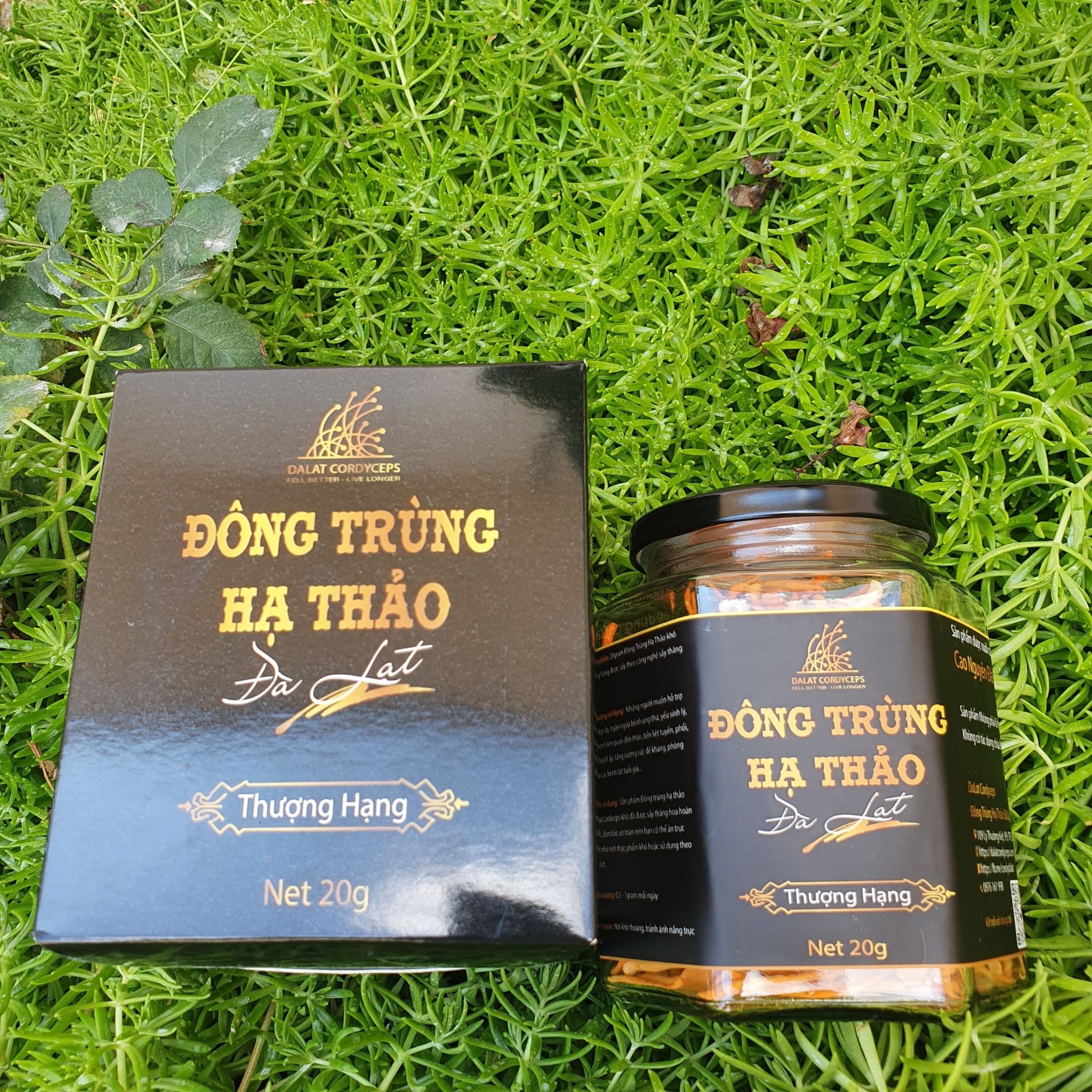 Nấm Đông Trùng Hạ Thảo Đà Lạt Khô Sấy Thăng Hoa - Loại 20gr - Được nuôi trồng Organic tại cao nguyên Đà Lạt trên 1500m