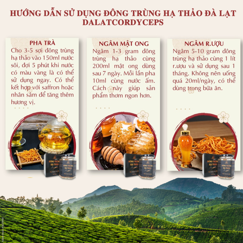 Nấm đông trùng hạ thảo khô sấy thăng hoa (Loại 10gr) - Nuôi trồng Organic trên Cao nguyên Đà Lạt