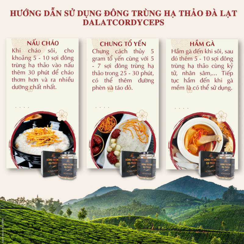 Nấm đông trùng hạ thảo khô sấy thăng hoa (Loại 10gr) - Nuôi trồng Organic trên Cao nguyên Đà Lạt
