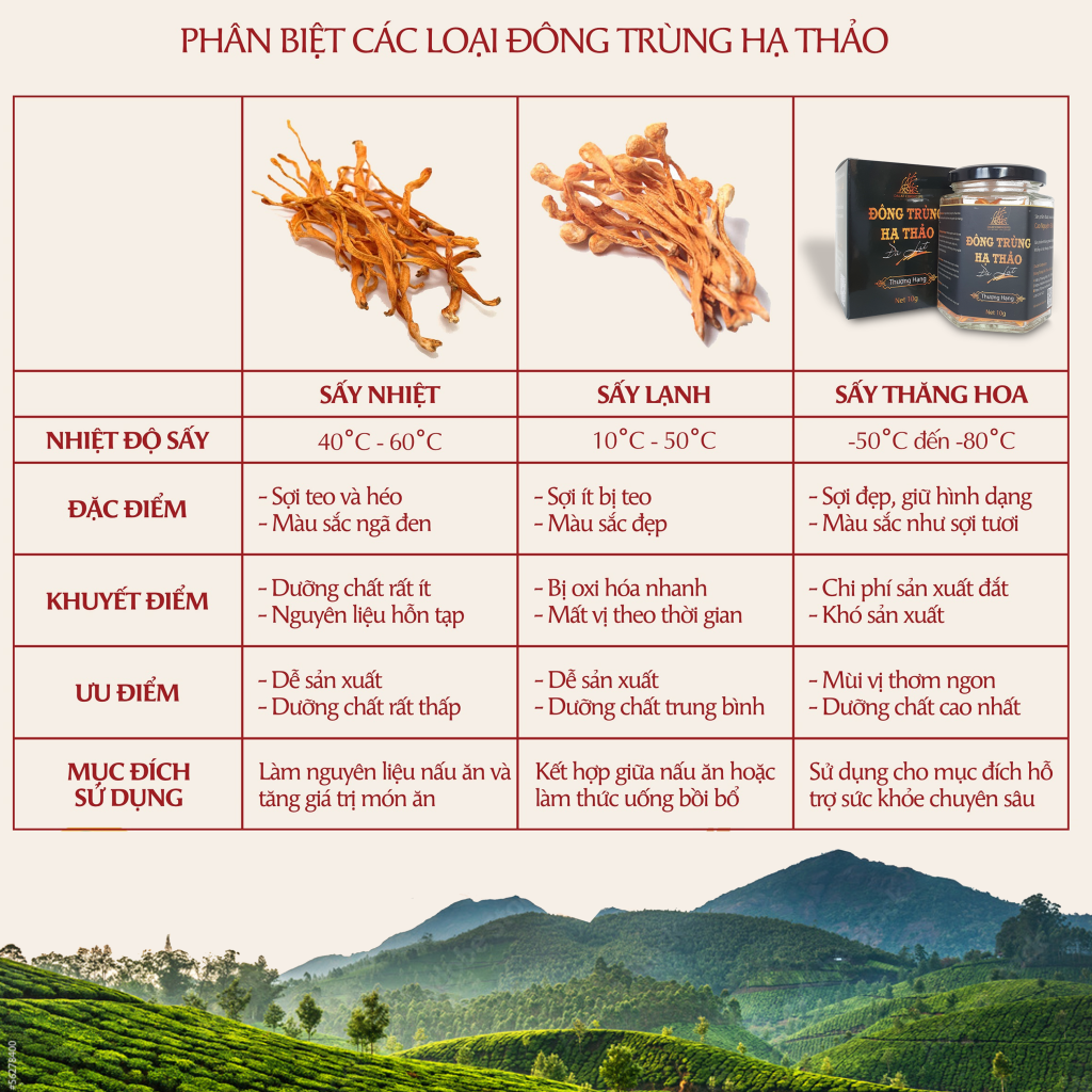 Nấm Đông Trùng Hạ Thảo Đà Lạt Khô Sấy Thăng Hoa - Loại 20gr - Được nuôi trồng Organic tại cao nguyên Đà Lạt trên 1500m