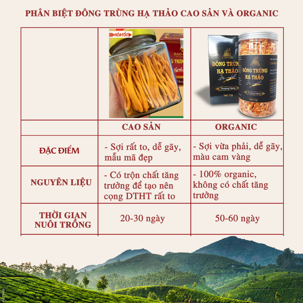 Nấm đông trùng hạ thảo khô sấy thăng hoa (Loại 50gr) - Nuôi trồng Organic tại Cao nguyên Đà Lạt