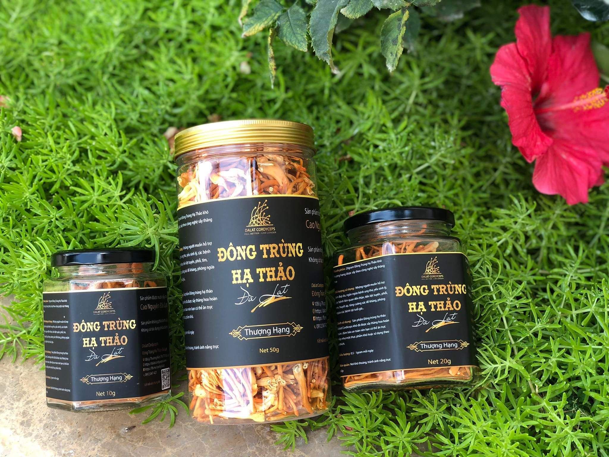 Nấm đông trùng hạ thảo khô sấy thăng hoa (Loại 50gr) - Nuôi trồng Organic tại Cao nguyên Đà Lạt