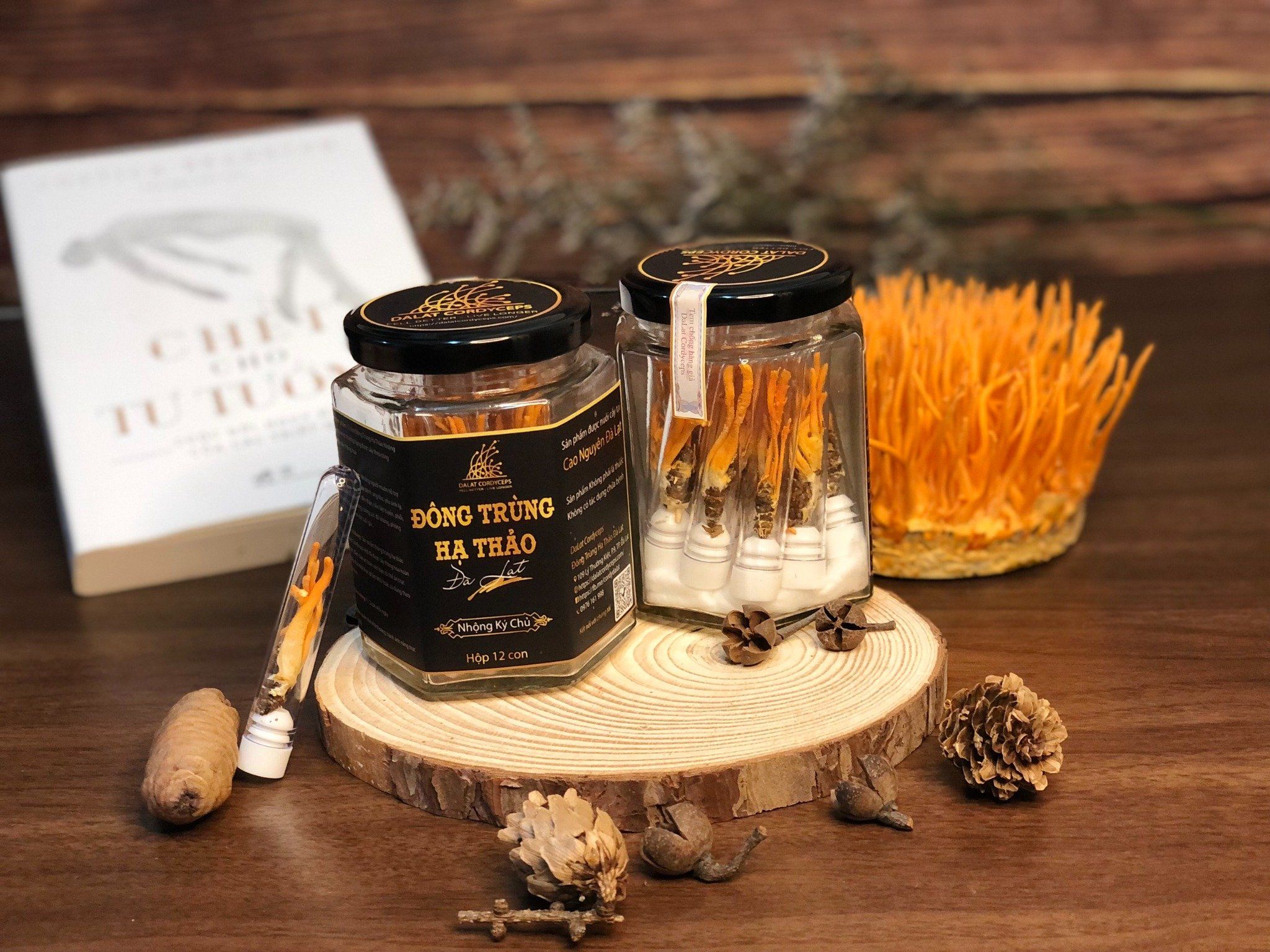 Nấm đông trùng hạ thảo khô sấy thăng hoa - Nhộng Ký Chủ - Nuôi trồng Organic tại Cao nguyên Đà Lạt