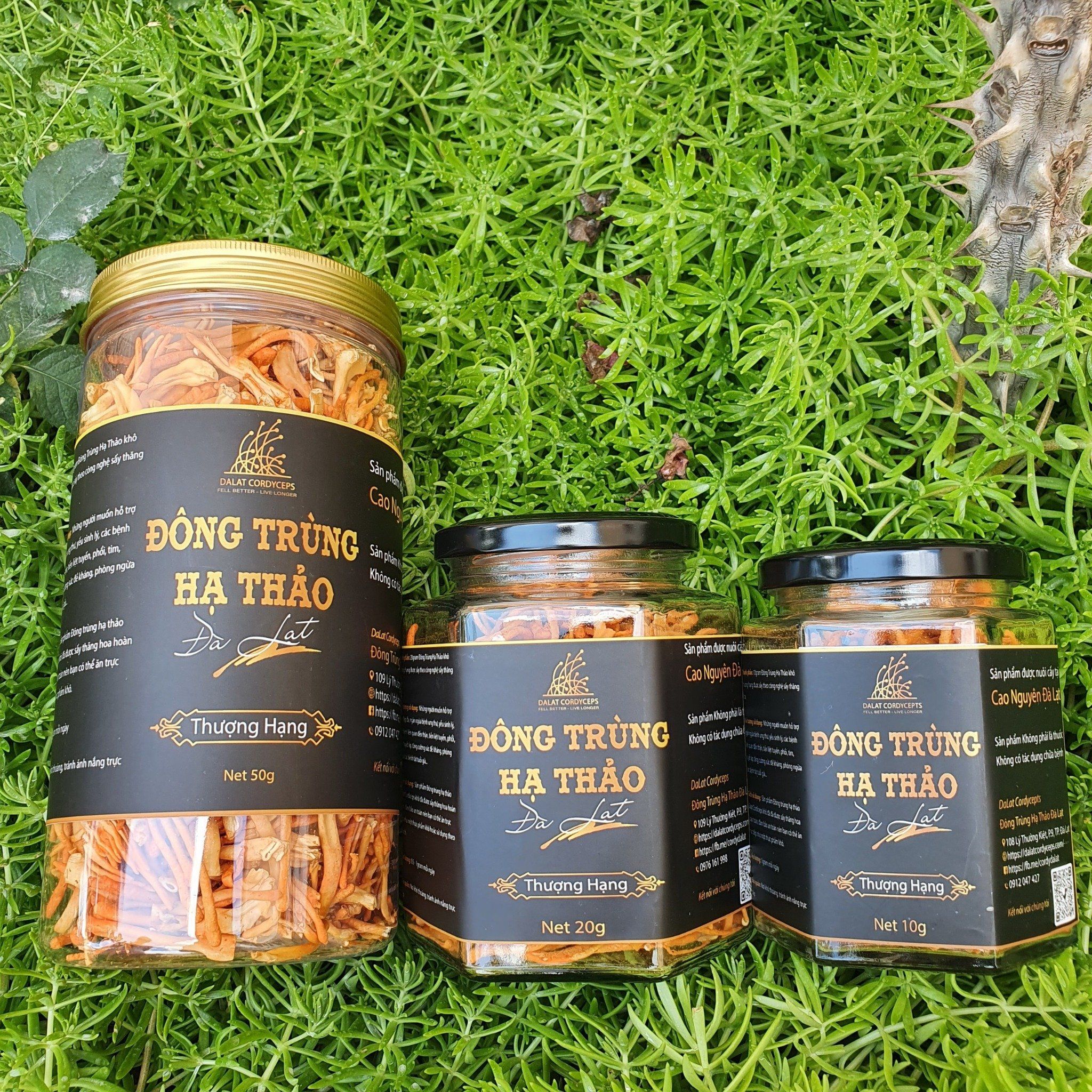Nấm Đông Trùng Hạ Thảo Đà Lạt Khô Sấy Thăng Hoa - Loại 20gr - Được nuôi trồng Organic tại cao nguyên Đà Lạt trên 1500m