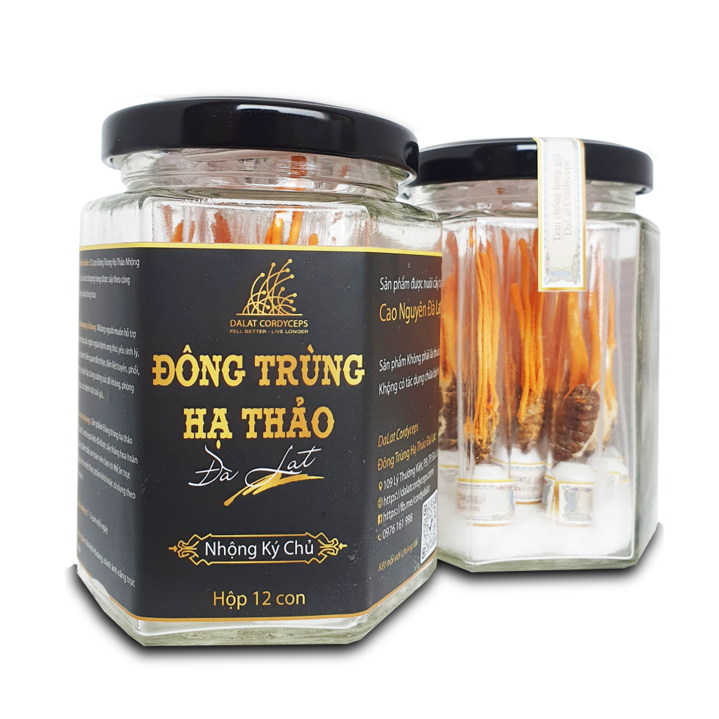Nấm đông trùng hạ thảo khô sấy thăng hoa - Nhộng Ký Chủ - Nuôi trồng Organic tại Cao nguyên Đà Lạt