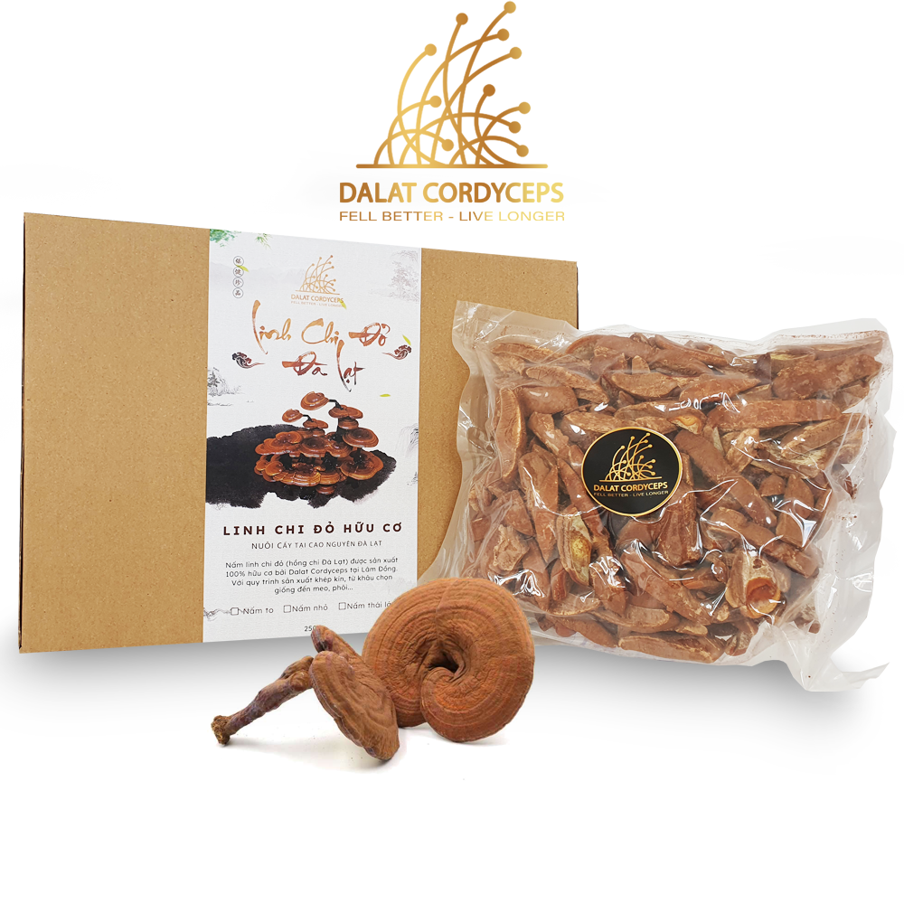 Nấm linh chi đỏ Đà Lạt còn nguyên bào tử nấm, Dalat Cordyceps, loại thái lát