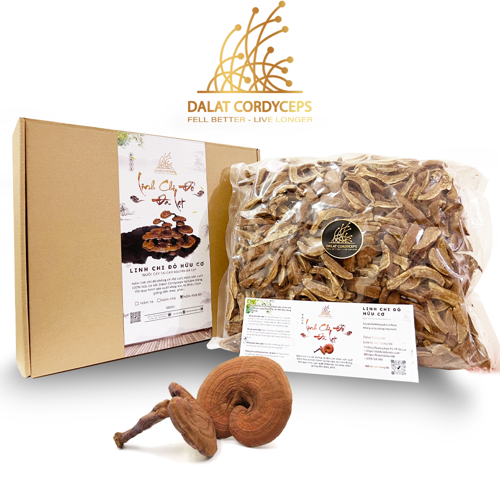 Nấm linh chi đỏ Đà Lạt còn nguyên bào tử nấm, Dalat Cordyceps, loại thái lát