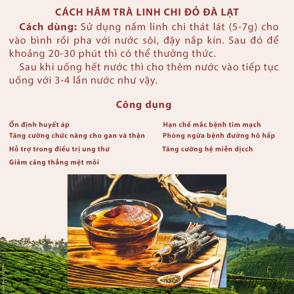 Nấm linh chi đỏ Đà Lạt còn nguyên bào tử nấm, Dalat Cordyceps, loại thái lát