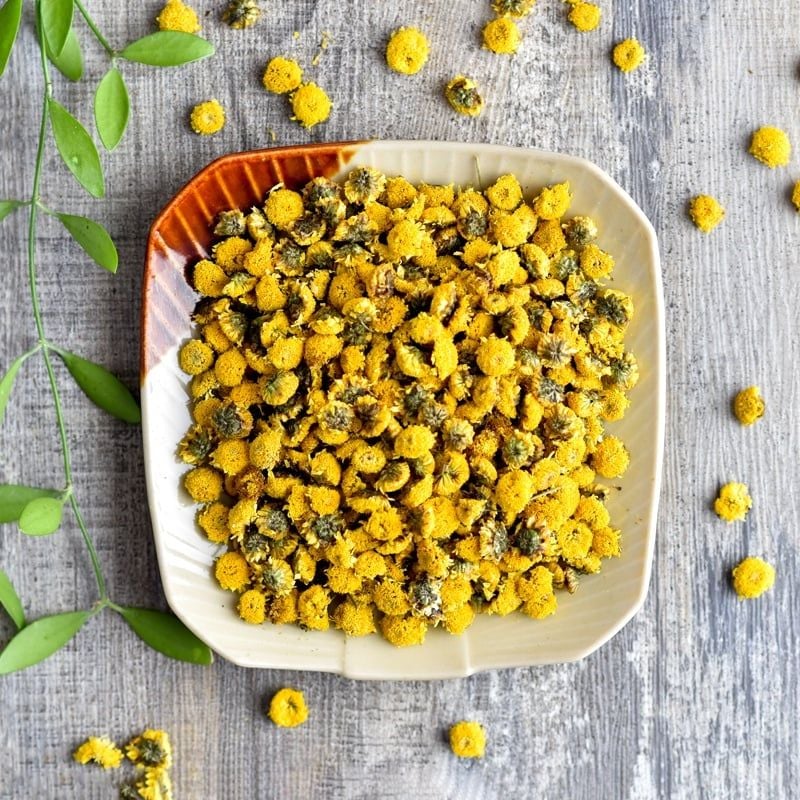 Trà thảo mộc nụ hoa cúc chi sấy lạnh - Dalat Cordyceps - loại thượng hạng