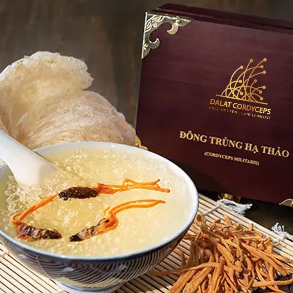 Đông trùng hạ thảo ký chủ nhộng tầm, ống nhựa, Dalat Cordyceps