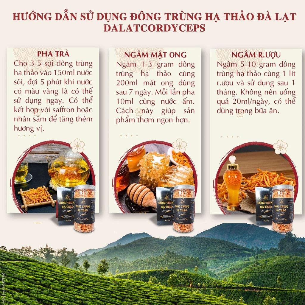 Nấm đông trùng hạ thảo khô sấy thăng hoa (50gr)