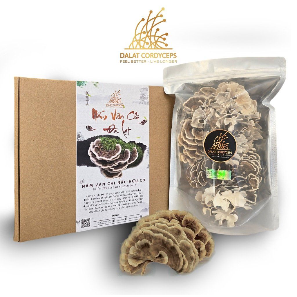 Nấm vân chi nâu sấy khô - Dalat Cordyceps