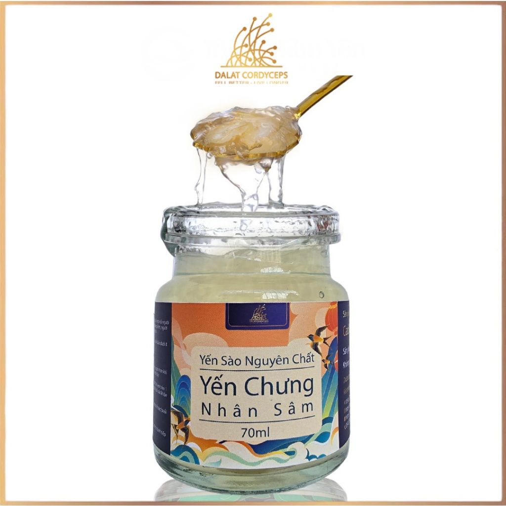 Yến sào chưng nhân sâm tươi - Dalat Cordyceps