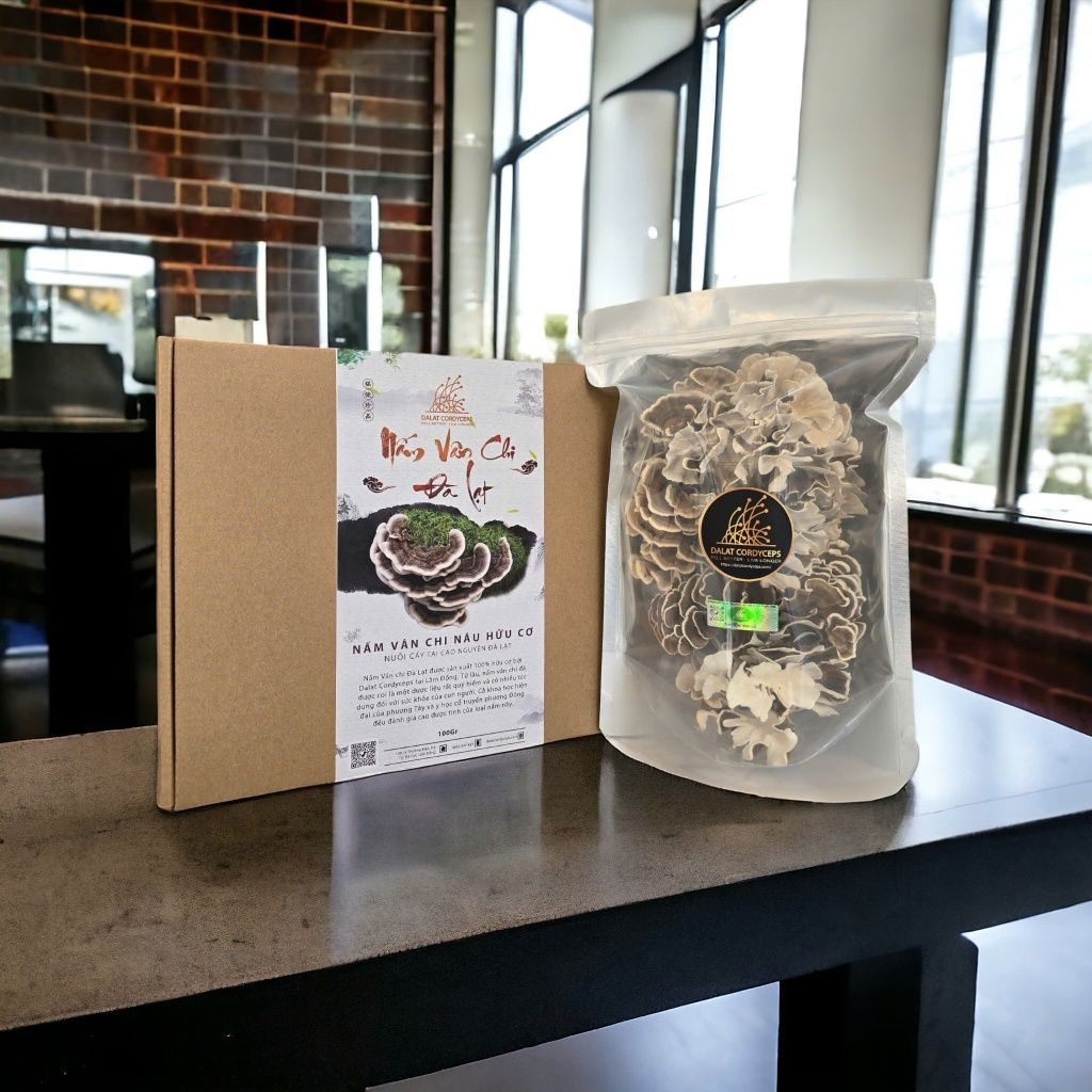 Nấm vân chi nâu sấy khô - Dalat Cordyceps