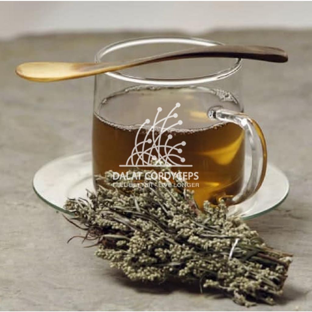 Lá ngải cứu sấy khô - Dalat Cordyceps