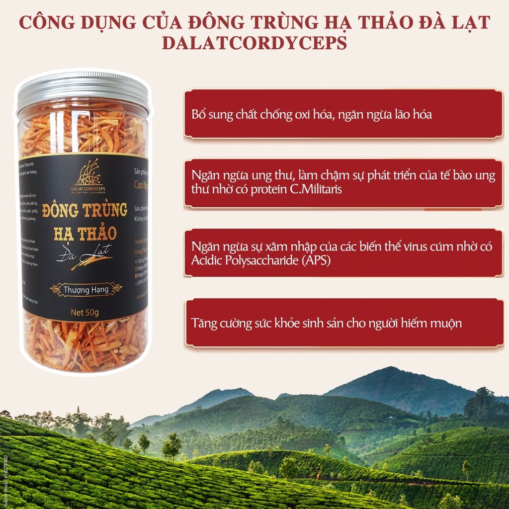 Nấm đông trùng hạ thảo khô sấy thăng hoa (50gr)